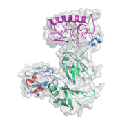 Estrutura tridimensional da proteína TDP-43, determinada no projeto por simulação de dinâmica molecular (Foto: Laboratório de Bioinformática) Estrutura tridimensional da proteína TDP-43, determinada no projeto por simulação de dinâmica molecular (Foto: Laboratório de Bioinformática)