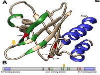 Grupo de pesquisa da UNIRIO utiliza inteligência artificial para estudo de doenças neurológicas