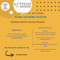 Defesa De Dissertação - Alaine Victorino Valentim 05/07