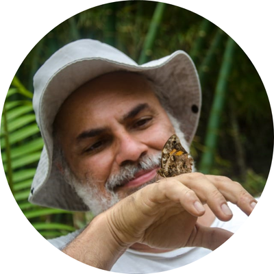 Prof Elias