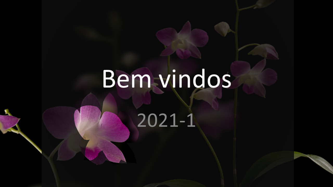 Bem vindos 2021-1