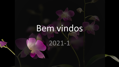 Bem vindos 2021-1