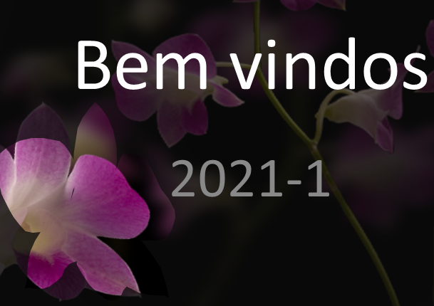 Bem vindos 2021-1