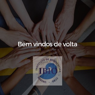 bem vindos de volta