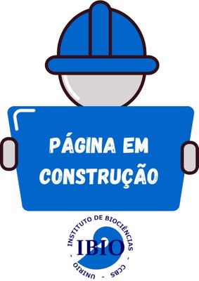 Página em Construção