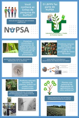 Projetos de pesquisa NuPSA