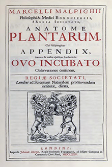 Anatome Plantarum 2