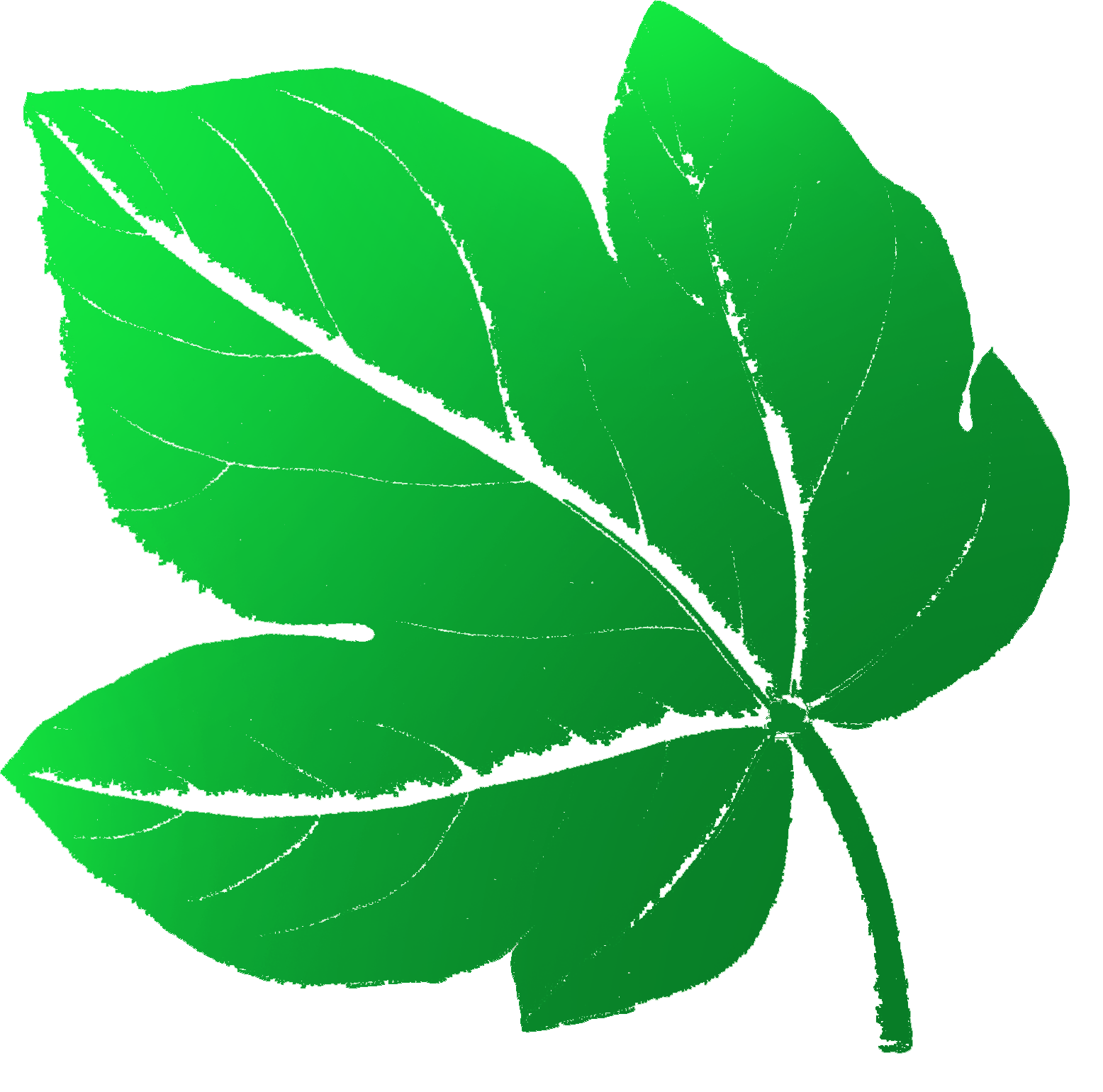 Símbolo verde claro