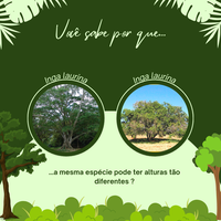 Curso de Ecologia Funcional 