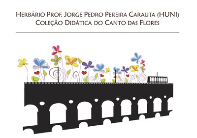 Logo definitivo Coleção Canto das Flores 
