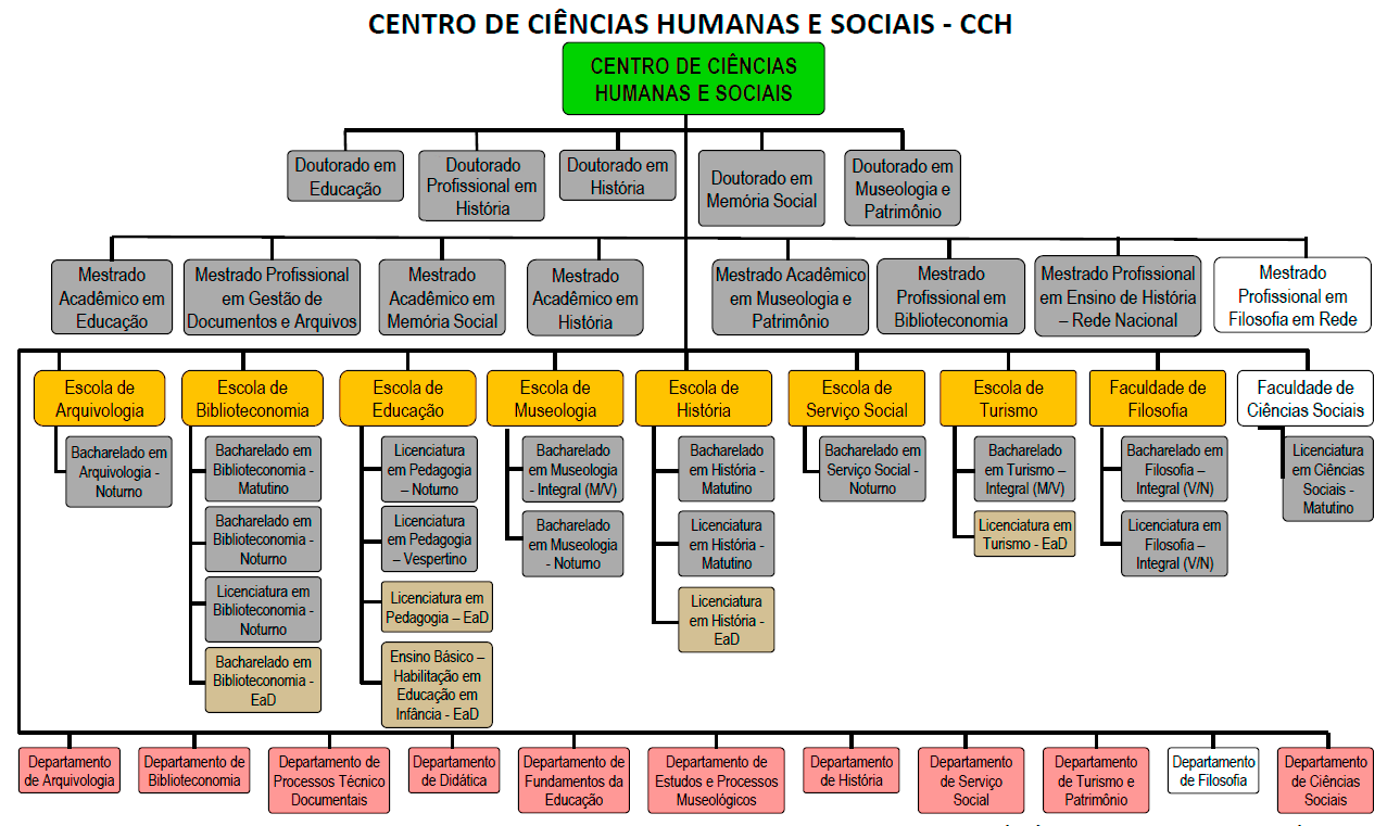 Organograma