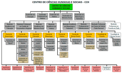 Organograma