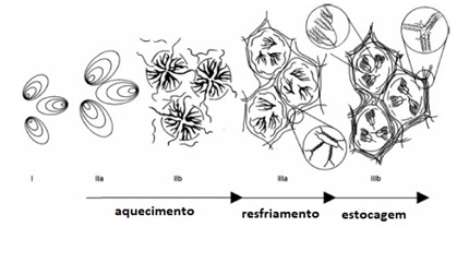 Fig 21