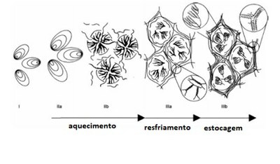 Fig 21