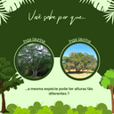 Curso de Ecologia Funcional 