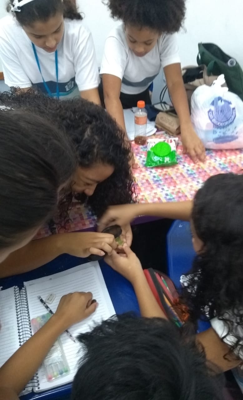 palestra - sementes 3