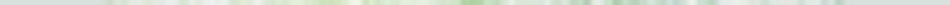 Reta Verde 950x 5