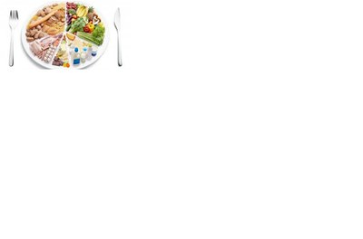 Alimento prato