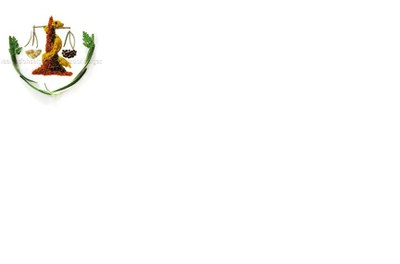 Logo Nutrição