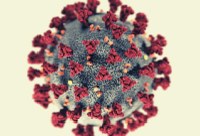 Sars-cov-2