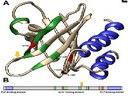 Grupo de pesquisa da UNIRIO utiliza inteligência artificial para estudo de doenças neurológicas Grupo de pesquisa da UNIRIO utiliza inteligência artificial para estudo de doenças neurológicas