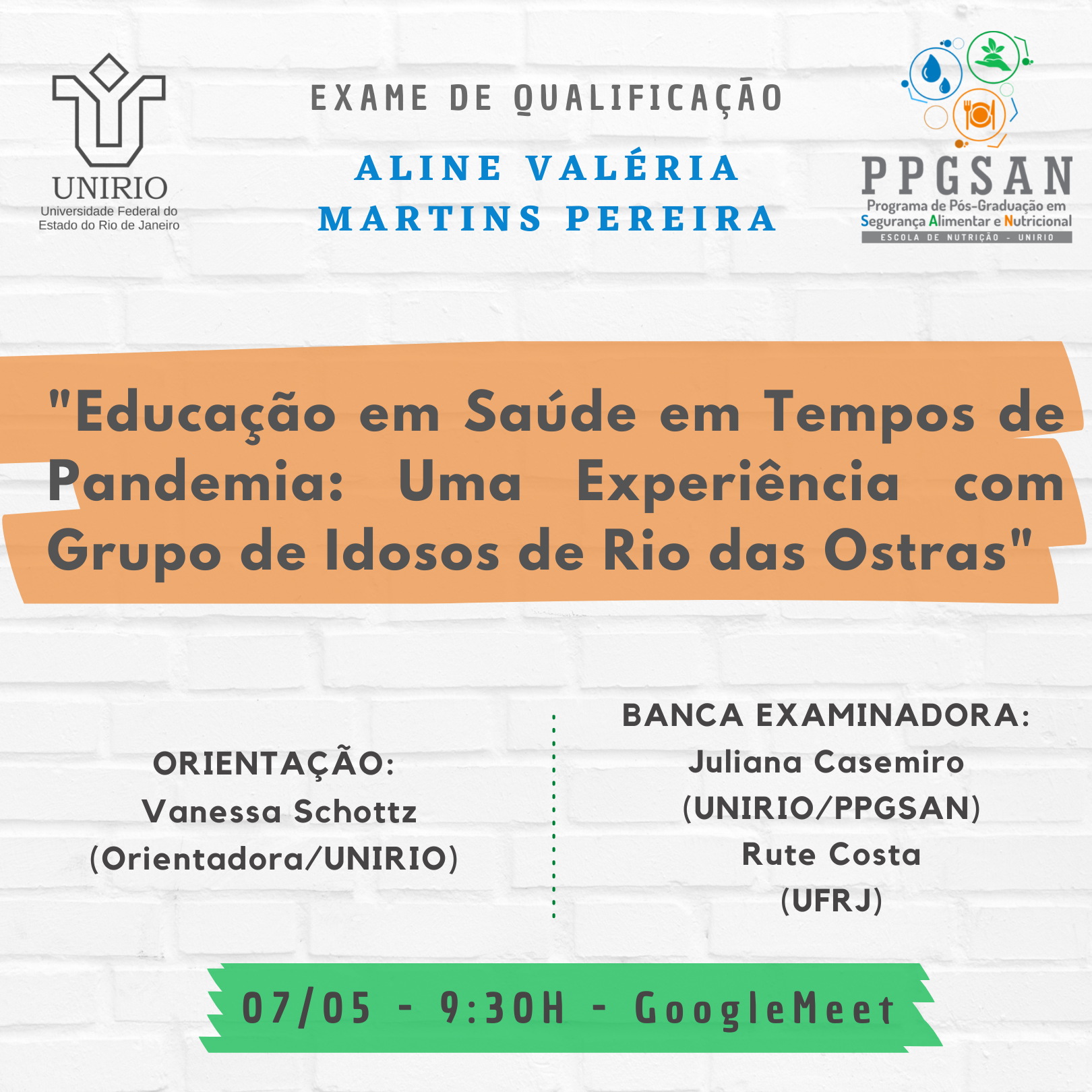 Defesa de mestrado Aline Valéria