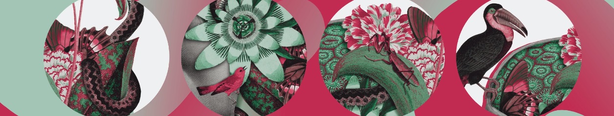 Imagem: Divulgação