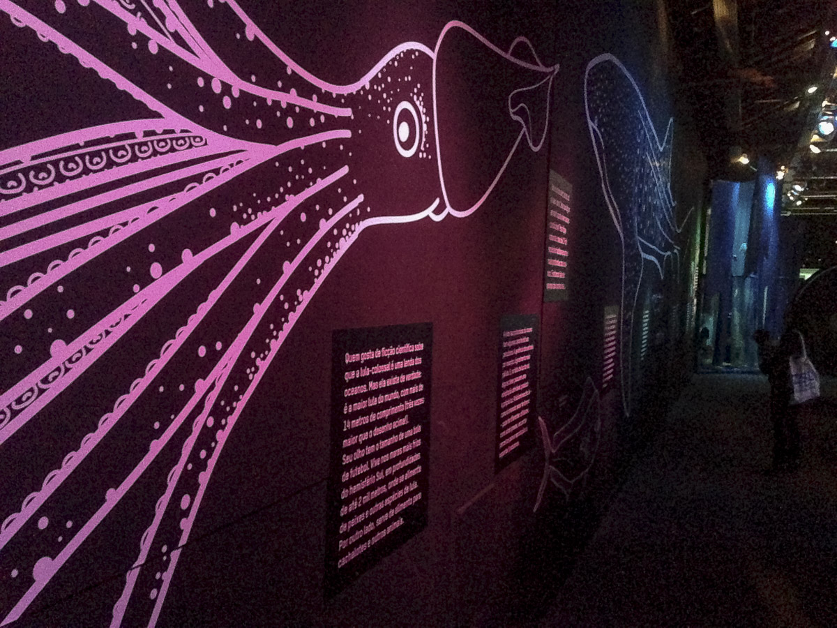 UNIRIO participa de exposição sobre ambiente marinho