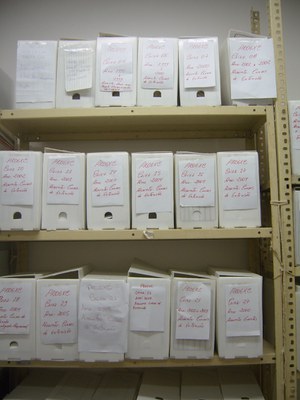 spg depois tratamento3