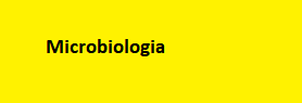 Microbiologia