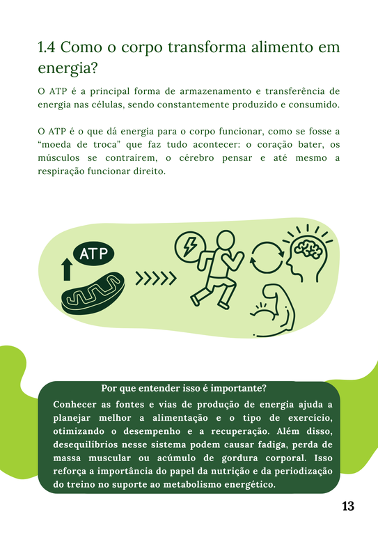 Energia13