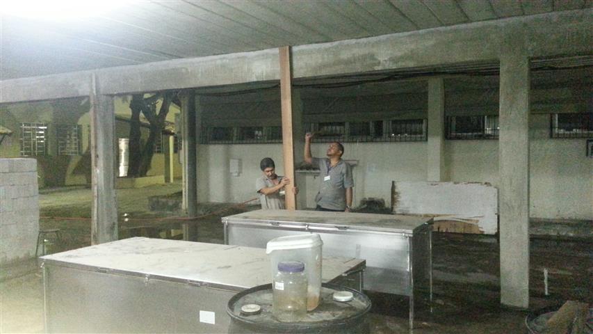 Corpos retornam integralmente ao espaço do novo anatômico do IB