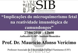 Ciclo de Seminários do IB discute 'Implicações do microquimerismo fetal na reatividade imunológica de camundongos'