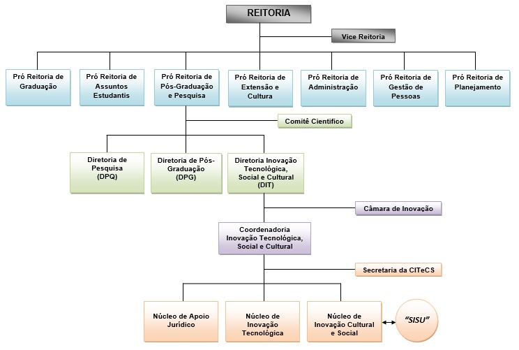 ORGANOGRAMA DIT PORTUGUÊS