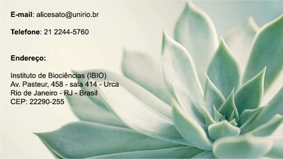 Contato