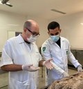 Aulas práticas gravadas são oferecidas aos alunos da UNIRIO e de outras IES da América Latina pelo Projeto Tutoria em Anatomia
