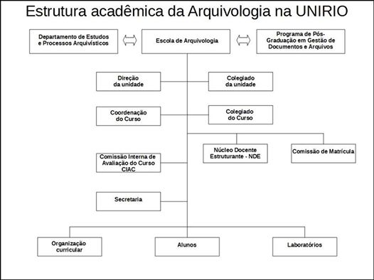 estrutura academica.jpg