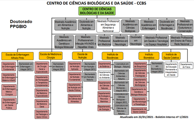 ESTRUTURA DO CCBS