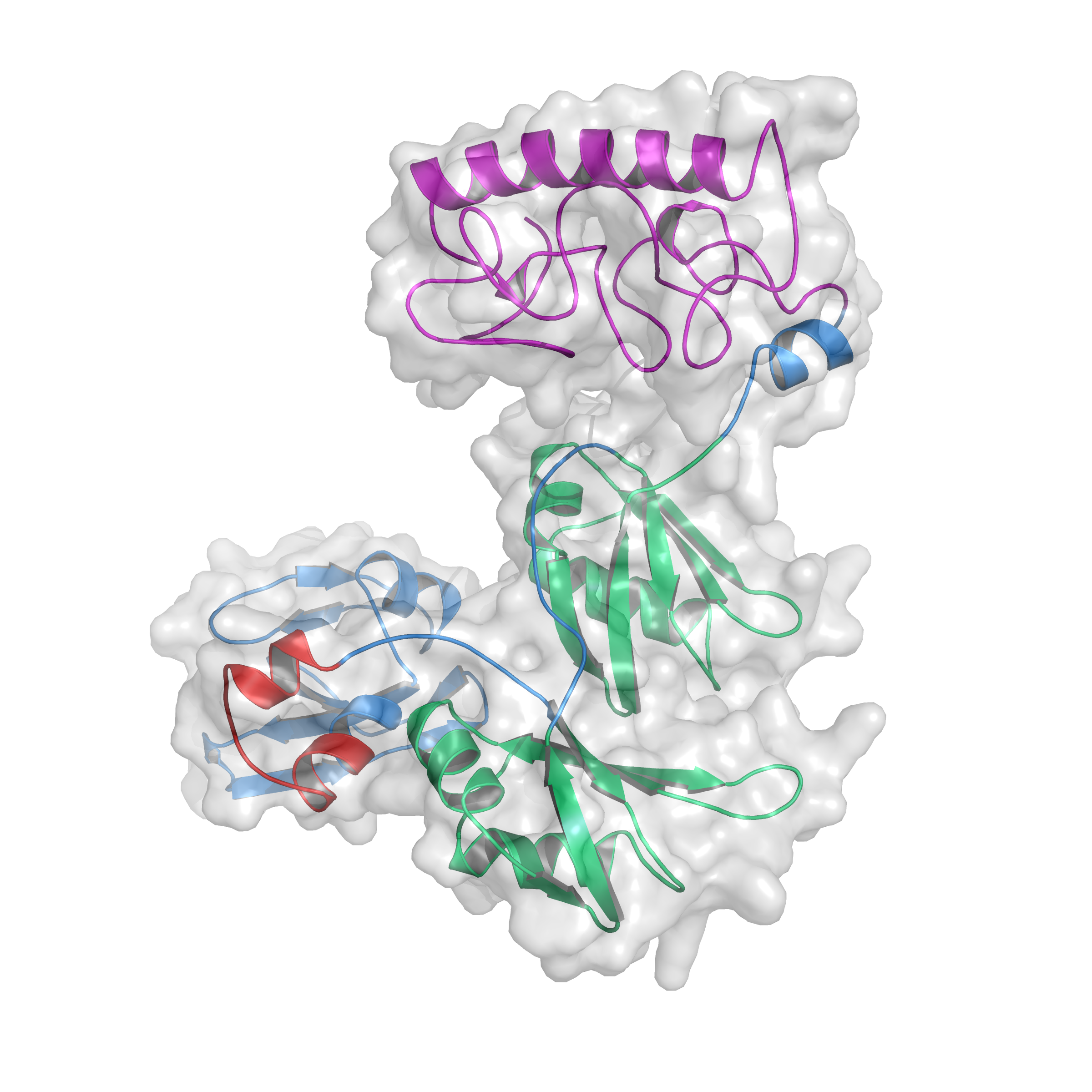 Estrutura tridimensional da proteína TDP-43, determinada no projeto por simulação de dinâmica molecular (Foto: Laboratório de Bioinformática)