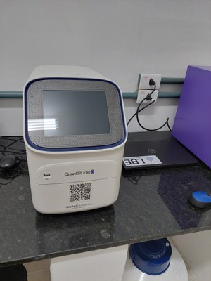 qPCR