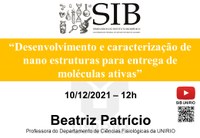 Desenvolvimento e caracterização de nano estruturas é o tema da discussão do próximo SIB