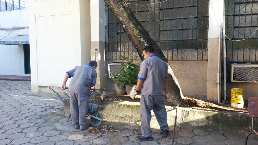 Iniciada a recuperação do jardim e canteiros do IB