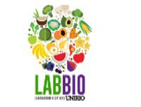 Pirâmide alimentar é tema de minicurso do LabBio