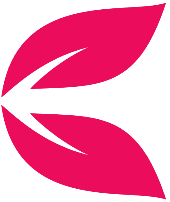 Folha magenta seta 2