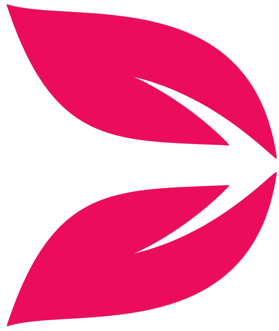 Folha magenta seta