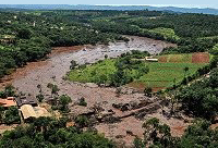 Habitat de minhocas de Brumadinho