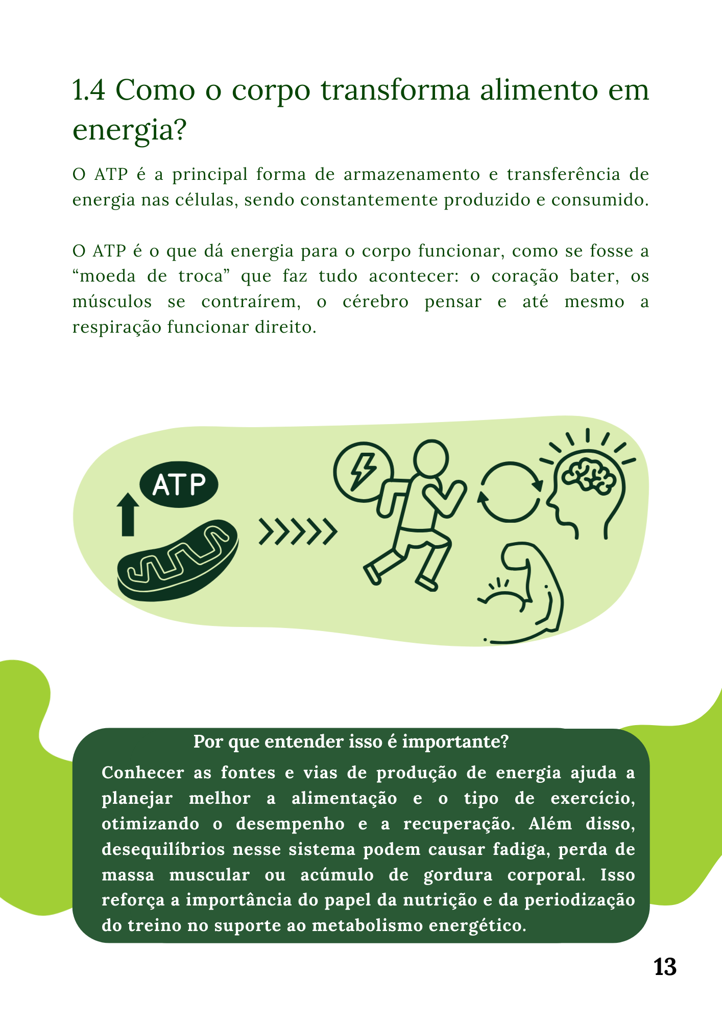 Energia13