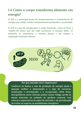 Energia13