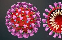 Biomedicina da UNIRIO no combate à Covid-19