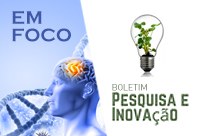 Edições de fevereiro do Informativo Em Foco e do Boletim Pesquisa e Informação já estão disponíveis para leitura